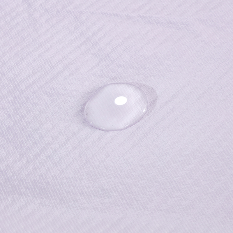 Lavender Scented Bed Bug Waterproof Mattress Encasement Mattress Cover (10)