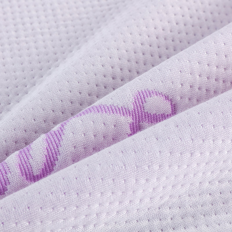 Lavender Scented Bed Bug Waterproof Mattress Encasement Mattress Cover (11)